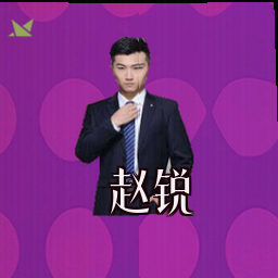 赵锐